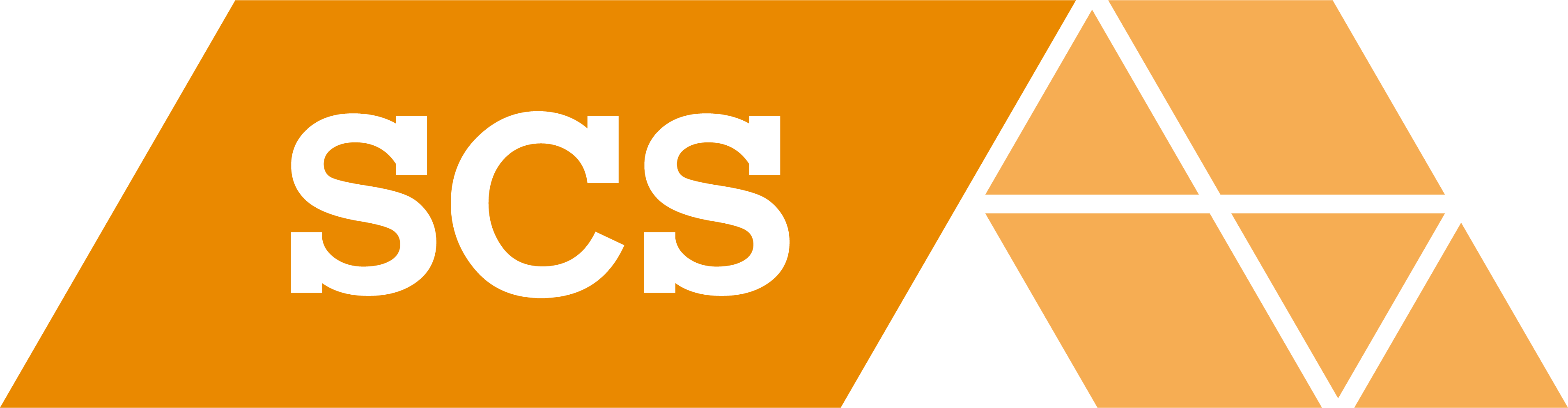 Scs Partner Agency of the Year Awards